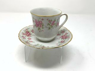 Lorenz Hutschenreuther Selb Bavaria Floral Pattern Tea Cup And Saucer Germany