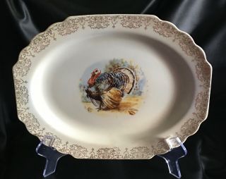 Lido W.  S.  George White Vintage Oval 13.  5 Inch Turkey Platter Gold Trim