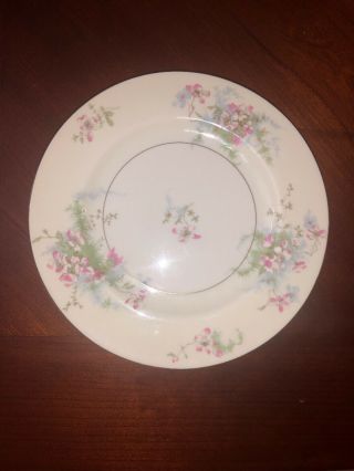 Theodore Haviland York Apple Blossom Salad Plates - Set Of 4