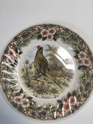 Churchill (myott Factory) Wildlife 10 Inch Plate With Pheasants
