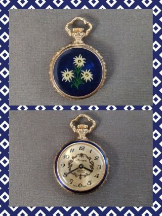 Vintage Arnex 17 Jewel Incabloc Swiss Pocket Watch/pendant Watch Winds & Runs