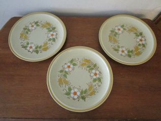 (3) Vintage Hearthside Garden Festival Hand Painted Stoneware Plates 10 3/4 "