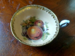 Teacup Fine Bone China Shelley Peaches Fruit Vintage Grapes Apricots Painted