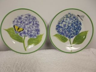 2 American Atelier Hydrangea Butterfly Dragonfly Porcelain 7 1/2 " Salad Plates