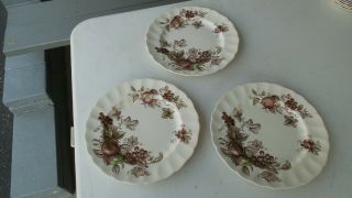 Johnson Brothers Harvest Time A Set Of 3 Ten Inch Dinner Plates