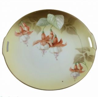Antique Rs Prussia Germany Silesia Tillowitz Porcelain Plate W/handles Floral