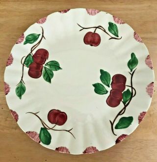 Vintage Southern Pottery Blue Ridge 10 - 1/4 " Plate Colonial Autumn Apple Red