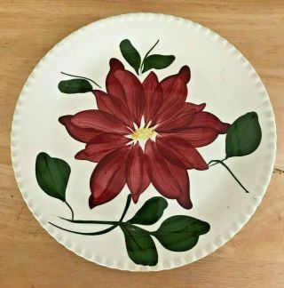 Vintage Southern Pottery Blue Ridge 10 - 1/8 " Plate Candlewick Dahlia Red Flower