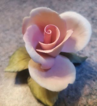 Vintage Capodimonte Style Fine Porcelain Pink Rose Figurine 2.  5 " X 3.  5 "