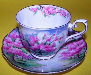 Royal Albert,  England,  " Blossom Time " Pattern,  Cup & Sauce - Very Collectible