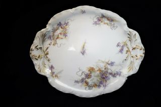 Vintage Art Nouveau Haviland Limoges France Iris Flower Pattern Small Platter