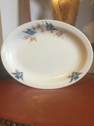 Vintage Oval Plate With Bluebirds,  Stamped W.  S.  George Derwood,  Ivory 107