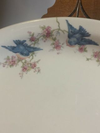 Vintage Oval Plate With Bluebirds,  Stamped W.  S.  George Derwood,  Ivory 107 2