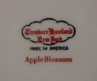 Haviland APPLE BLOSSOM Salad Plate - BEST More Items Available Theodore USA 2