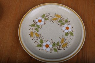 Vintage Hearthside Garden Festival Hand Painted Stoneware Dinner Plates 10 3/4 "