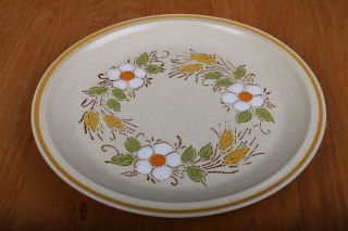 Vintage Hearthside Garden Festival Hand Painted Stoneware Dinner Plates 10 3/4 