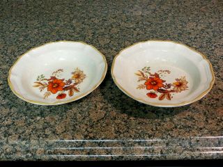 2 Mikasa Garden Club Harvest Bouquet Ec455 Cereal Soup Pasta Bowls