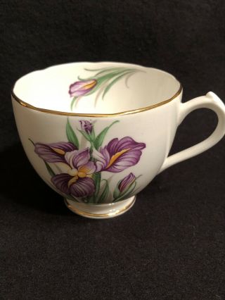 Vintage Duchess Bone China " Iris " Teacup Made In England Purple Flower Gold Trim