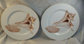 Fitz And Floyd Coquille 2 Salad Plates Shell Design Japan