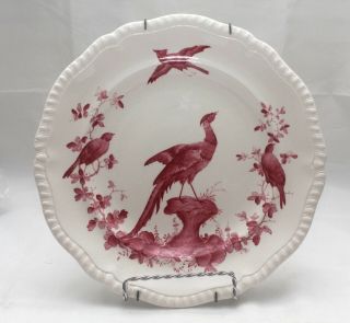 Vtg Copeland Late Spode England R.  No 651133 Chelsea Bird Pink Plate With Hanger