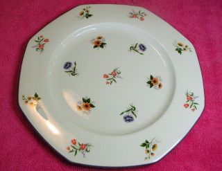 Wedgwood (springtime) 10 3/4 " Dinner Plate (s) Guc (6 Left)