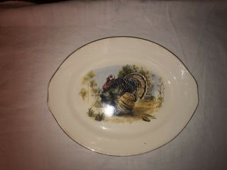 Vintage Thanksgiving Turkey Platter 15” Oval Homer Laughlin Usa