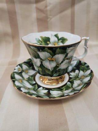 Royal Albert Flora Series Trillium Teacup And Saucer Black With White Flowers