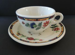 Syracuse China Dewitt Clinton Cup And Saucer Bird Of Paradise Restaurant Ware