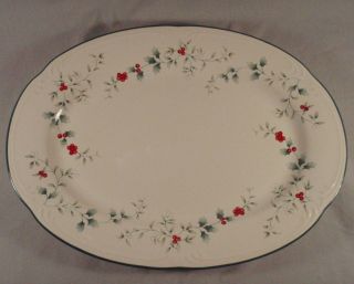 Pfaltzgraff Winterberry 14 " Oval Serving Platter Plate Deep Dish Tray Christmas