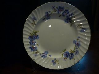 Adderley Fine Bone China Blue Cornflower Gold Rim Dinner Plate