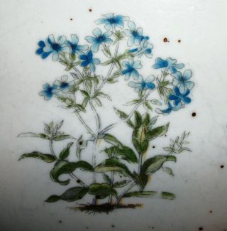 Blue Speckled Porcelain 8 