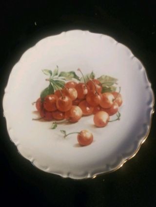Bavaria Schumann Arzberg Germany 7 Inch Fruit Cherries Plate Gold Trim