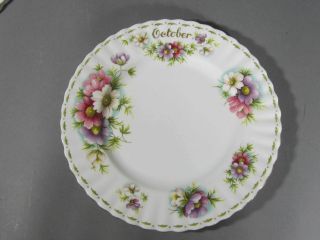 Royal Albert Flower Of The Month Plate / October Cosmos