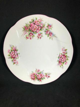 Royal Albert Apple Blossom Time 8 1/4” Plate Fine Bone China Pink Rim 5f