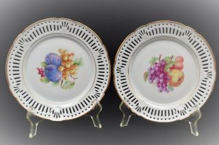 Vintage Schwarzenhammer Bavaria Germany Reticulated 2 Plates With Fruits