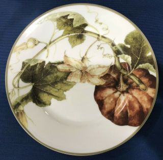 1 Williams Sonoma Botanical Pumpkin Salad / Dessert Plate M1