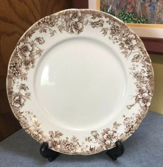 Jhw & Sons Hanley England Pansy Porcelain Transferware Brown Floral 9 " Plate