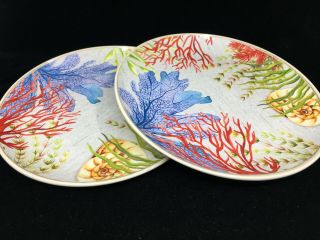 2 Dinner Plates Tropical Melamine Outdoor Better Homes Gardens Sea Plants Coral 2