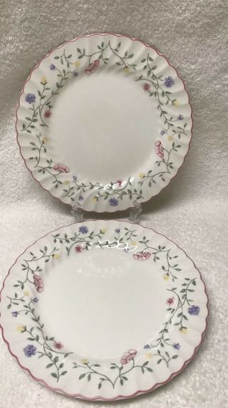 2 Johnson Brothers Summer Chintz Dinner Plate 9 - 3/4 " Scallop Whiteware Floral