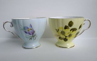 Set Of 2 Royal Grafton Fine Bone China Floral Teacups (made In England)