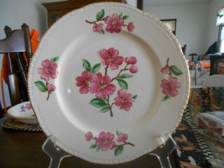 Apple Blossom Dinner Plate (s) 9.  25 " Laughlin Liberty Porcelain White Pink Gold