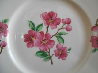 Apple Blossom Dinner Plate (s) 9.  25 