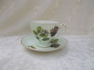 Vintage Royal Grafton Tea Cup & Saucer,  Pale Green With Brown Rose