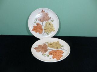 Set Of 2 Metlox Poppytrail Woodland Gold 10 3/8 " Dinner Plates Fall Leaf Vernon