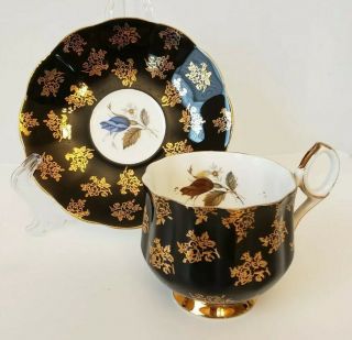 Elizabethan Black Gold Teacup Tea Cup & Saucer Fine Bone China England