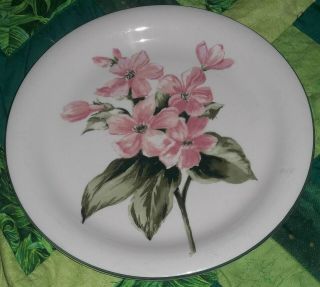 Garden Delights Pink Dogwood Green Rim 10.  25 " Dinner Decorator Collectible Plate