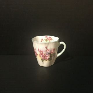 Shelley Fine Bone China England - Demi Tea Cup - Begonia Pattern - Perfect