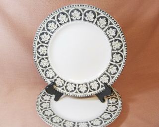 222 Fifth San Marco Pair Dinner Plates Beige Black Rim White Arches No Trim