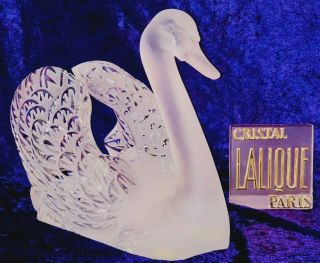 Exquisite Rare Lalique Crystal France “swimming Swan” With Head Up -