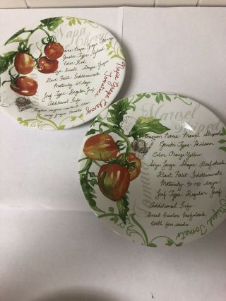 Set Of Two (2) 222 Fifth China Plate Heirloom Tomatoes Marvel Striped Napa Cherry